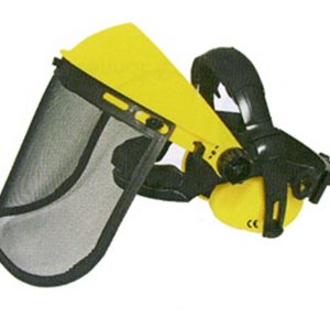 Visiere pro avec oreillettes