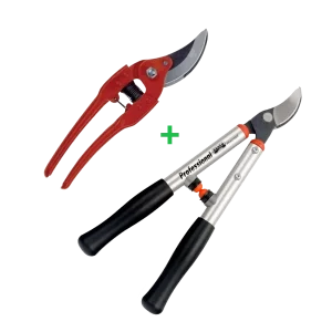 Pack ébrancheur et sécateur professionnel BAHCO P114SL60 + P110-20