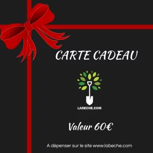 CARTE CADEAU 60€