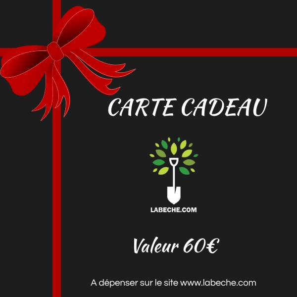 CARTE CADEAU 60€
