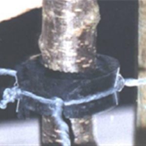 Collier de tuteurage airgom 33 cm (lot de 25 pieces)