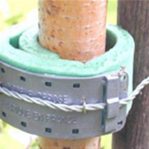 Collier de tuteurage mousse 33 cm (lot de 25 pieces)