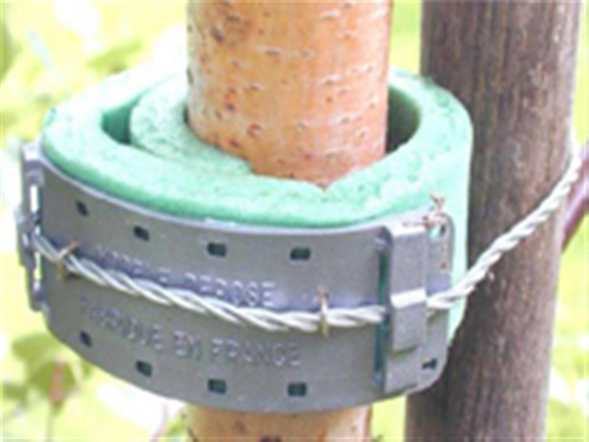 Collier de tuteurage mousse 33 cm (lot de 25 pieces)