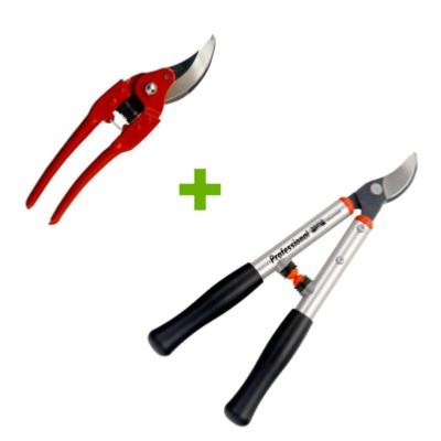 Pack vendange BAHCO sécateur et ébrancheur professionnels