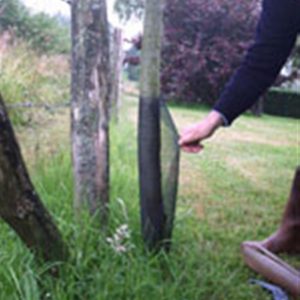 Tubex prototige 0.55 m