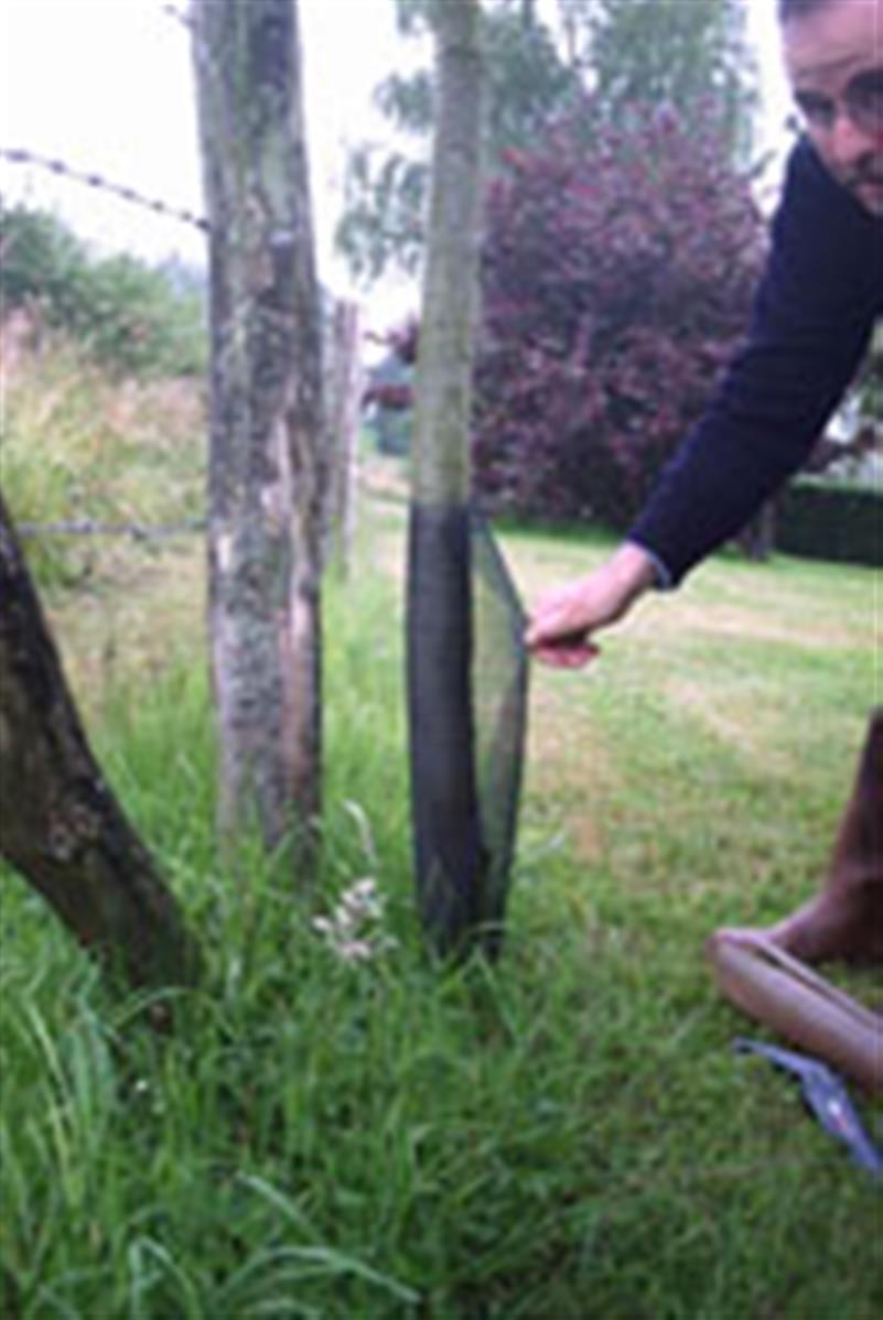 Tubex prototige 0.55 m