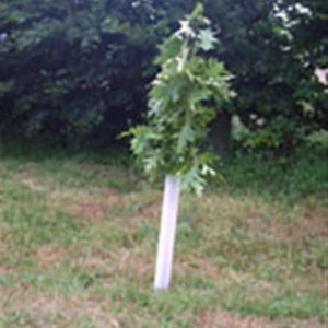 Tubex protege tronc 0.40 m 50/65