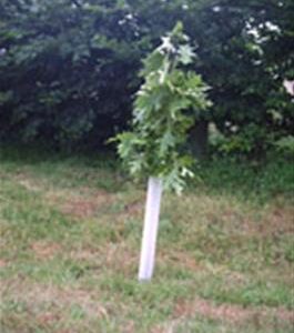 Tubex protege tronc 0.75 m 50/65