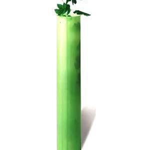 Tubex plantation 40 cm