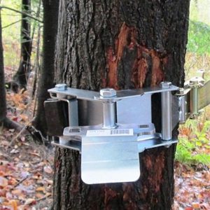 Support d'ancrage pour arbre avec courroie