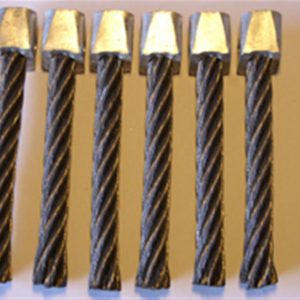 Kit de 6 brosses ecobrush